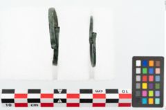Foto von Bronzearmreif (NHMW-PRAE-026011)